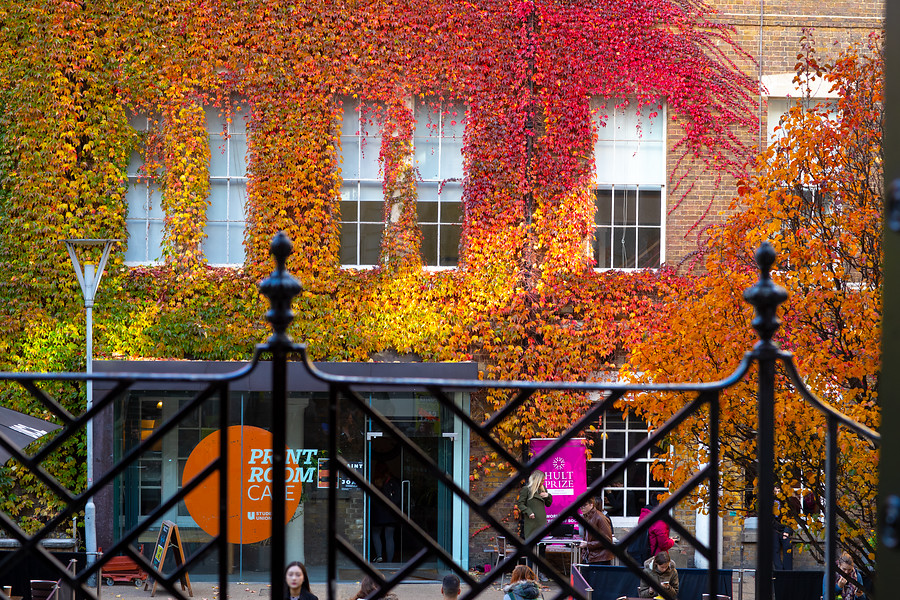 Autumnal leaves cover ӰԺ students' union cafe on campus.